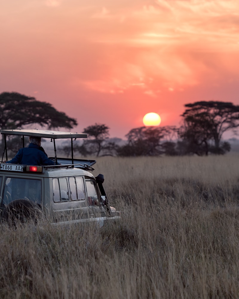 Safari in Kenya