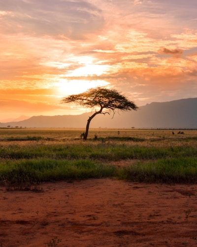 Kenya